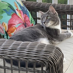 Fundraising Page: Tracey Jenkins